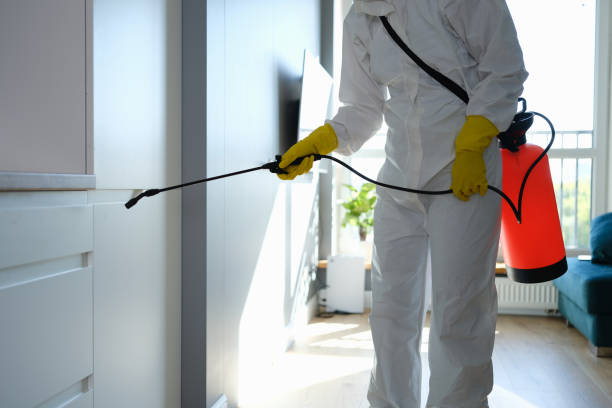 Best Mold Remediation for Schools in Toledo, OR